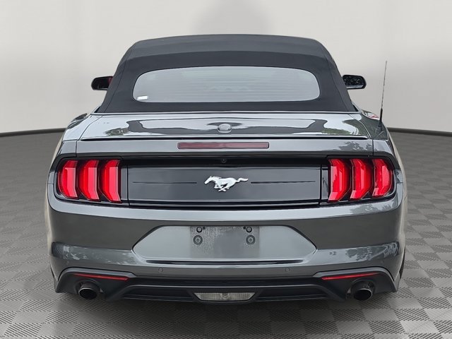Certified 2019 Ford Mustang Premium w/ Equipment Group 201A RWD image 5