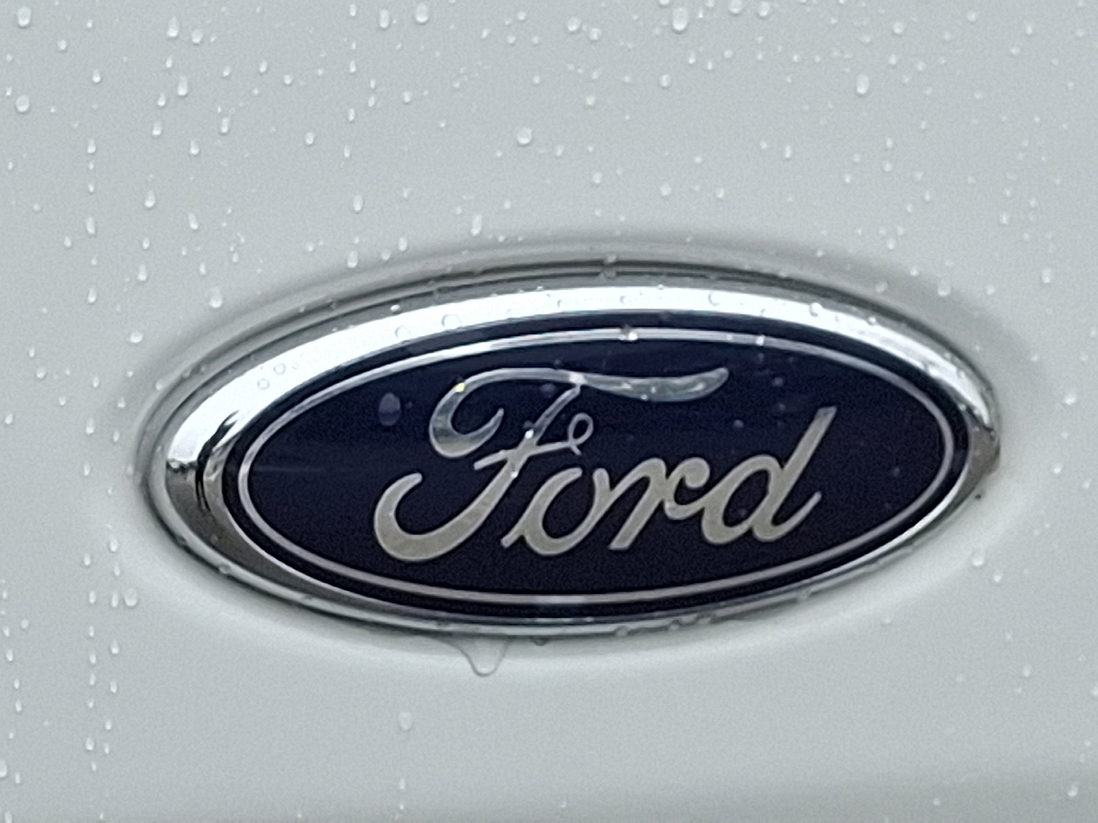 Certified 2025 Ford Transit 250 Low Roof w/ Exterior Upgrade Package RWD image 29