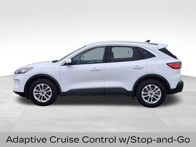 Certified 2020 Ford Escape SE image 2