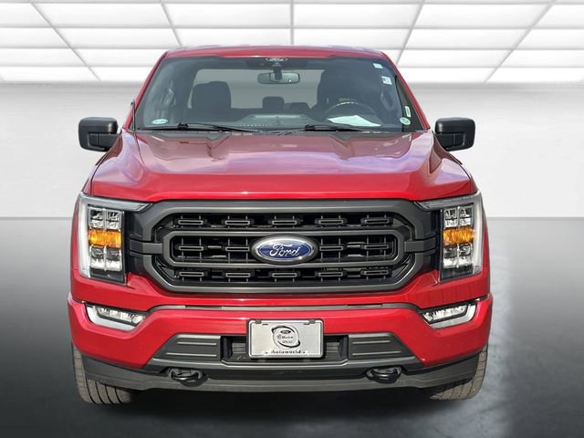 Certified 2021 Ford F150 XLT w/ Equipment Group 302A High image 2