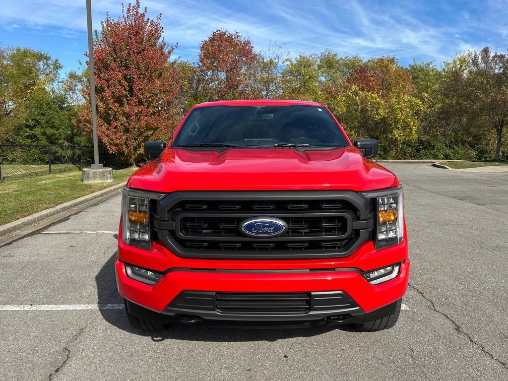 Certified 2023 Ford F150 XLT w/ Equipment Group 302A High image 8