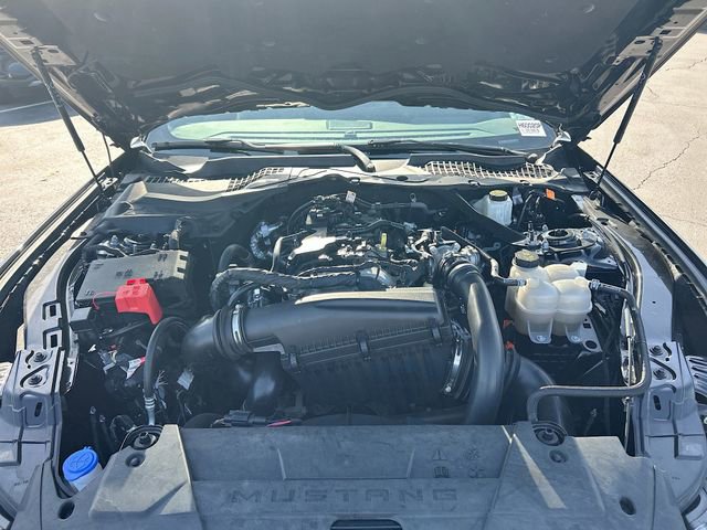 Certified 2024 Ford Mustang Premium RWD image 30