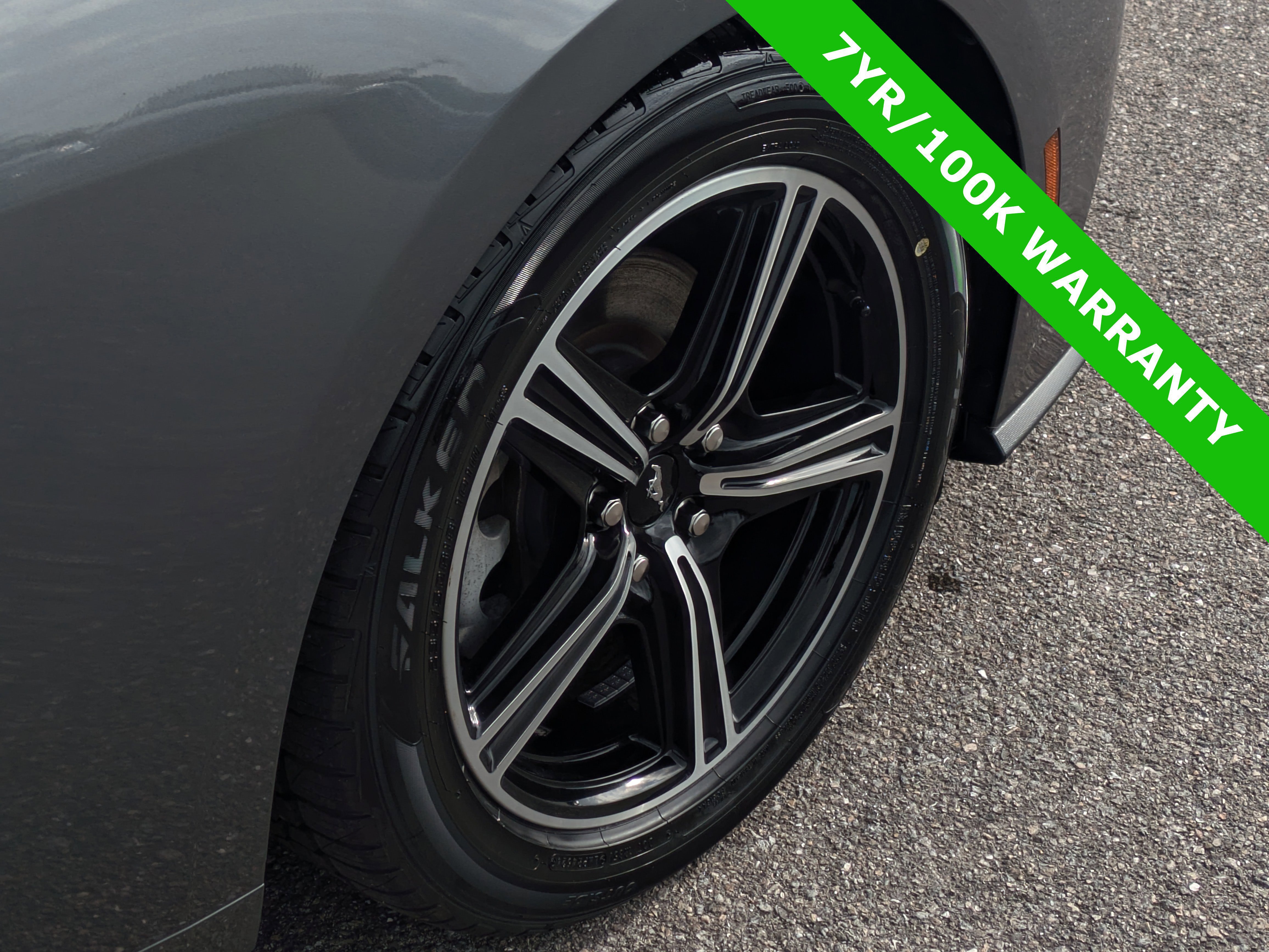 Certified 2024 Ford Mustang Premium image 12