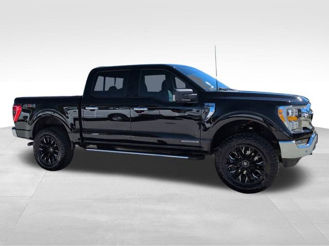 Certified 2023 Ford F150 XLT w/ Equipment Group 302A High