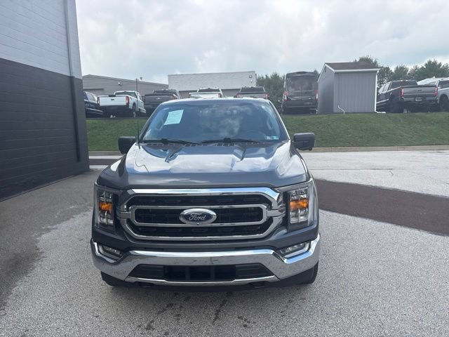 Certified 2023 Ford F150 XLT w/ Equipment Group 302A High AWD/4WD image 11