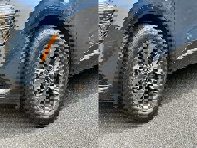 Used 2023 Kia Sportage SX Prestige image 7