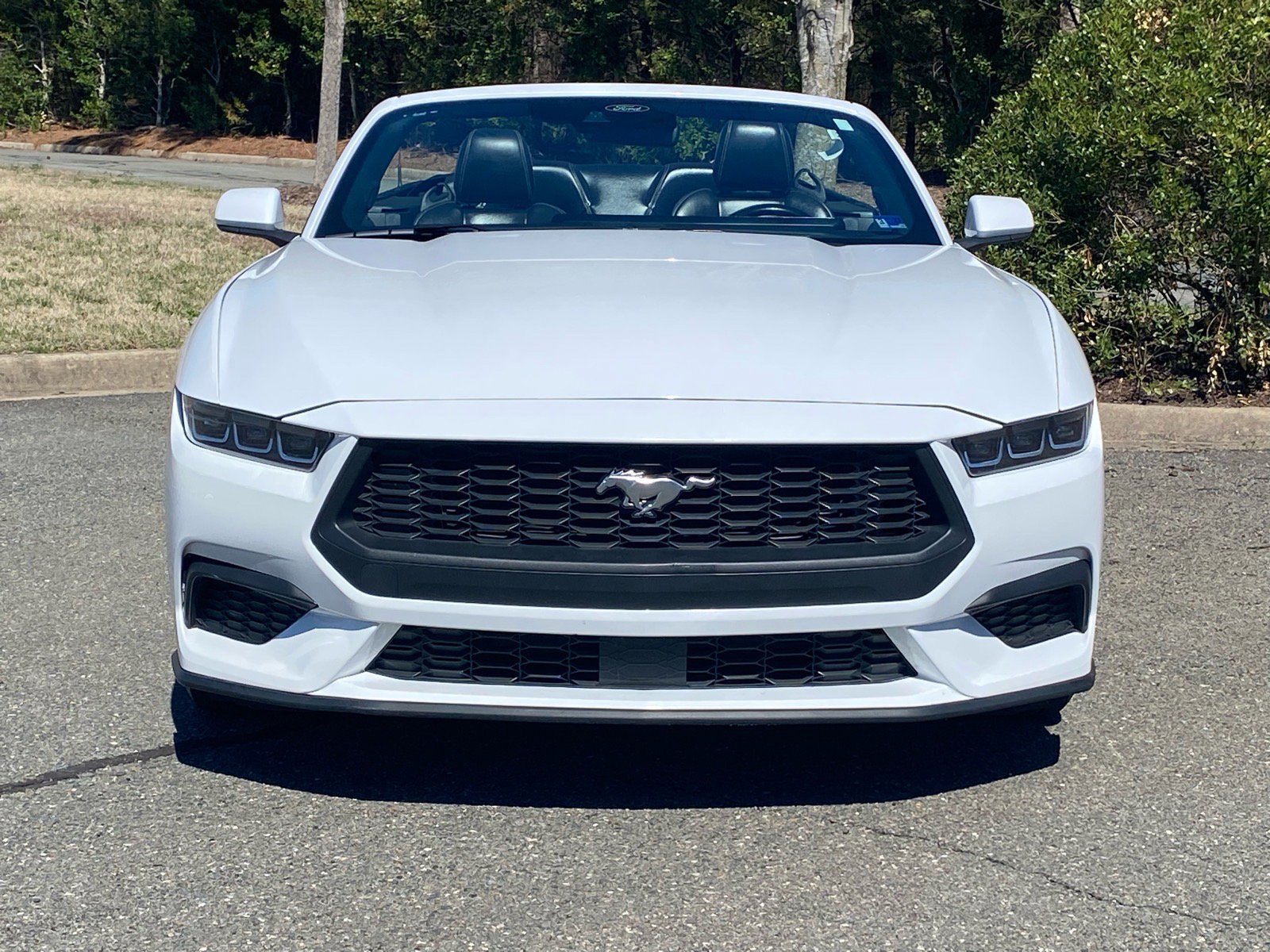 Certified 2024 Ford Mustang Premium image 6