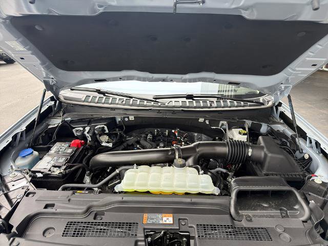 Certified 2025 Ford Expedition Active image 9