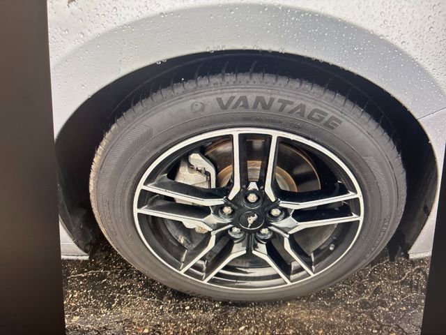 Certified 2021 Ford Mustang EcoBoost w/ Equipment Group 101A image 20