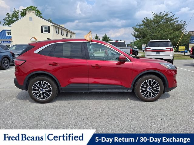 Certified 2022 Ford Escape SEL FWD image 13