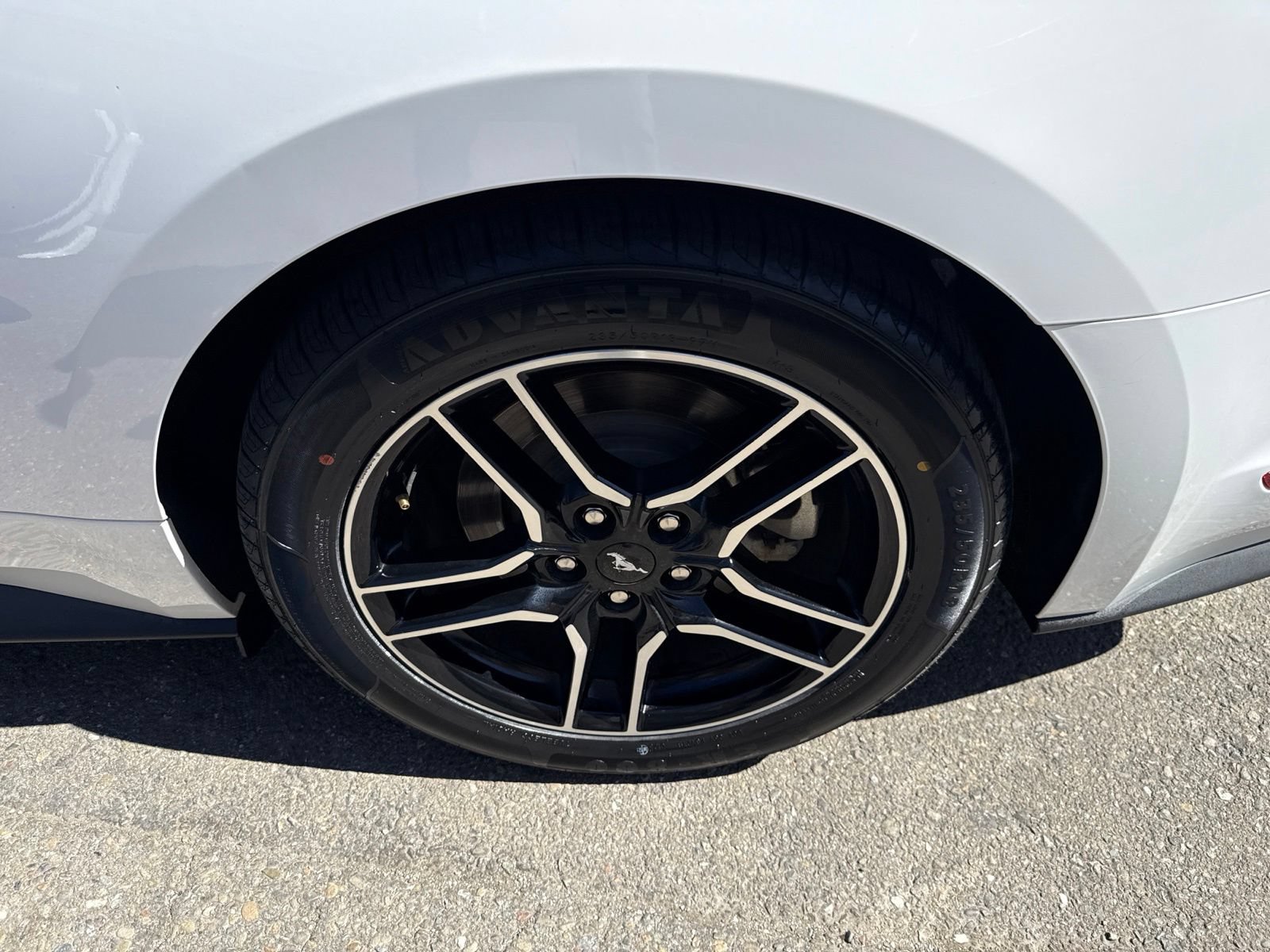 Certified 2019 Ford Mustang GT w/ Equipment Group 301A RWD image 20