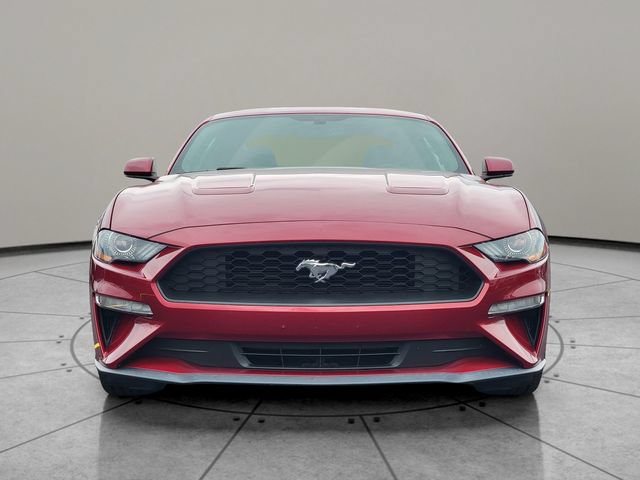 Certified 2019 Ford Mustang Coupe RWD image 15