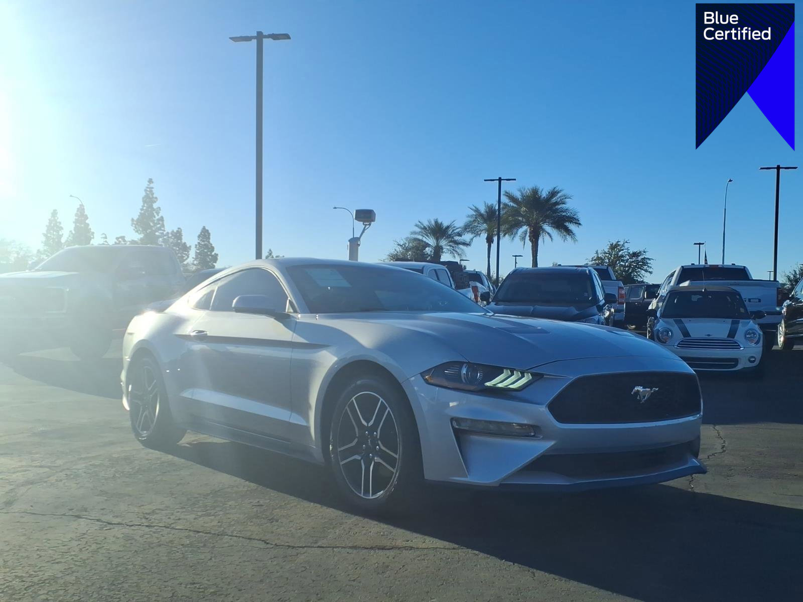 Certified 2019 Ford Mustang Coupe w/ Equipment Group 101A image 1