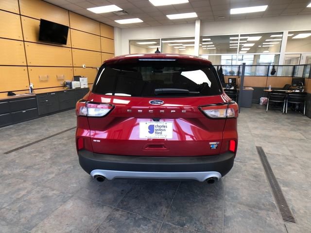 Certified 2020 Ford Escape SE image 4
