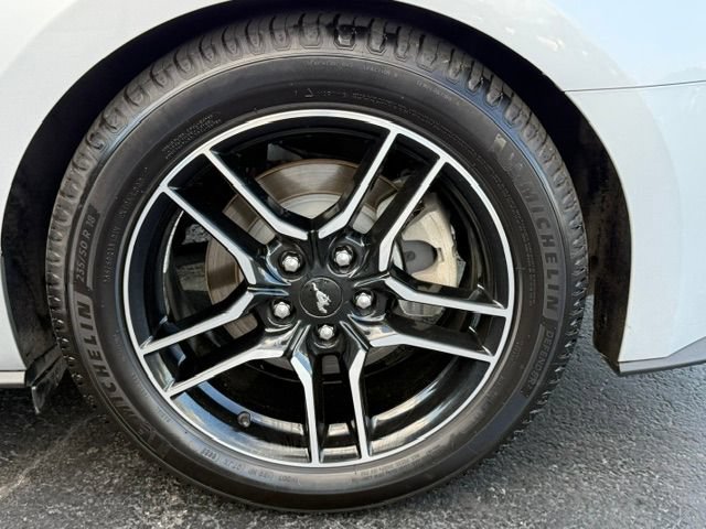 Certified 2019 Ford Mustang Premium RWD image 5