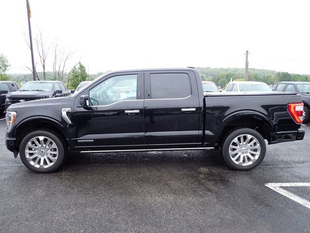 Certified 2023 Ford F150 Limited AWD/4WD image 2