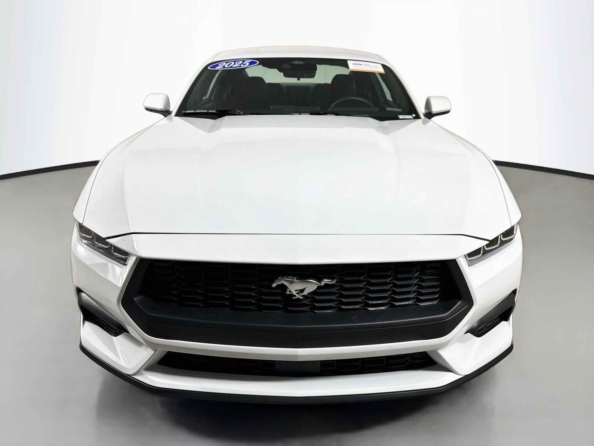 Certified 2025 Ford Mustang Coupe RWD image 7