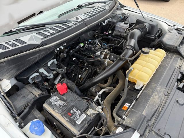 Certified 2019 Ford F150 XL w/ Equipment Group 101A Mid AWD/4WD image 34