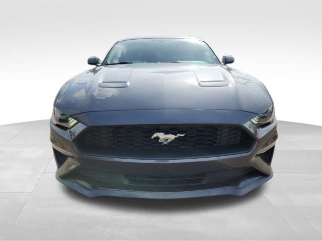 Certified 2019 Ford Mustang Coupe image 8
