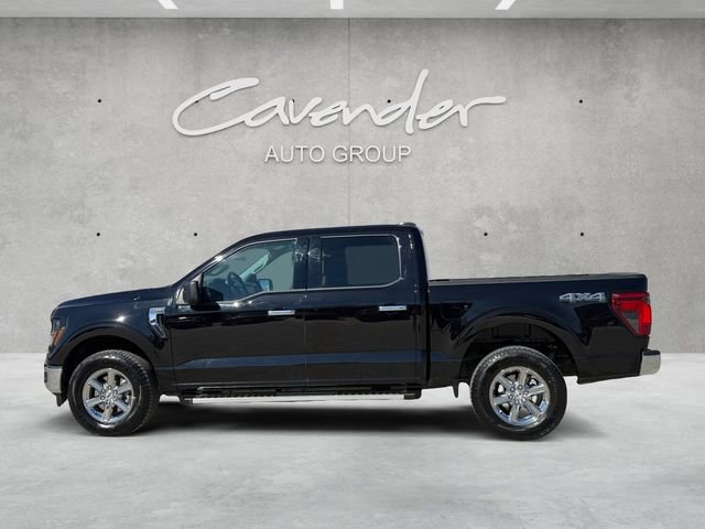 Certified 2025 Ford F150 XLT w/ Equipment Group 301A Standard image 2