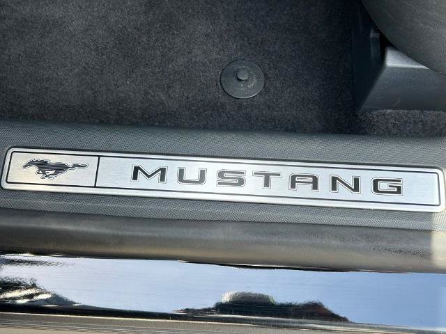 Certified 2023 Ford Mustang Mach-E Premium RWD image 19