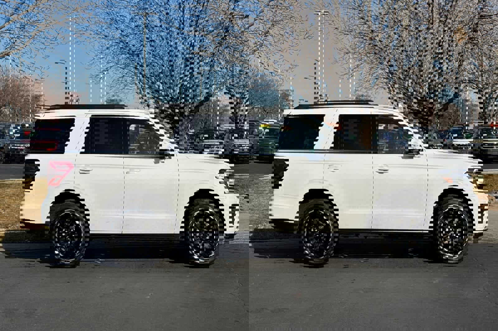 Certified 2024 Ford Expedition Limited image 6