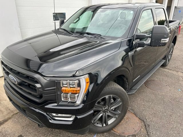 Certified 2023 Ford F150 XLT w/ Equipment Group 302A High