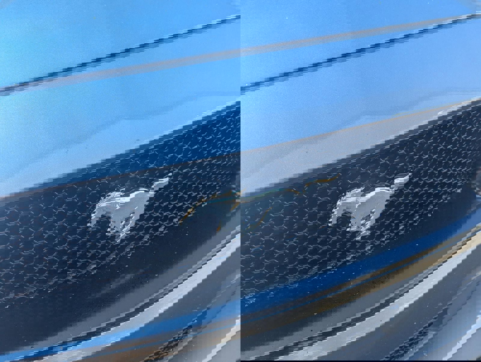 Certified 2021 Ford Mustang GT image 3