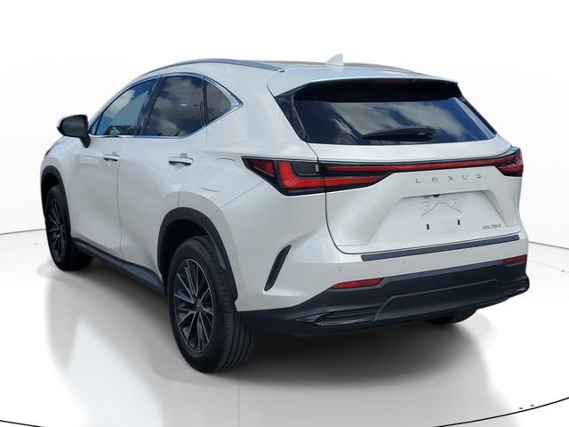 Used 2024 Lexus NX 250 FWD image 3