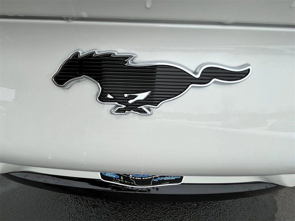 Certified 2024 Ford Mustang Mach-E Premium image 10