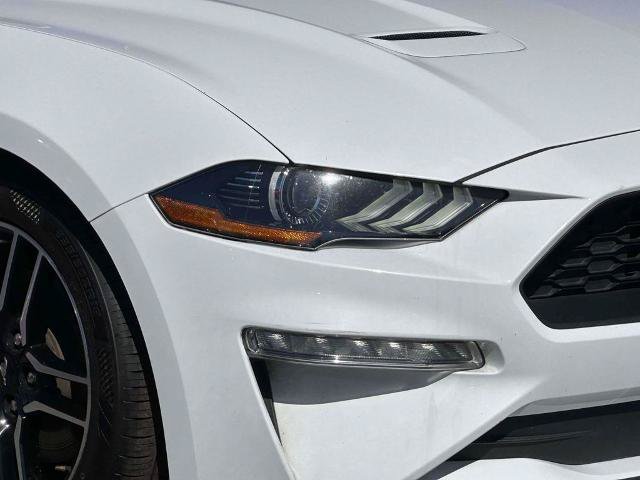 Certified 2023 Ford Mustang Premium RWD image 7