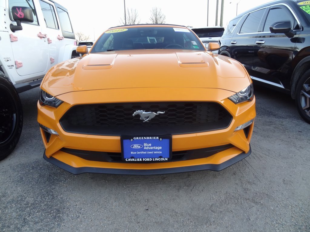 Certified 2019 Ford Mustang Premium w/ Equipment Group 201A image 5