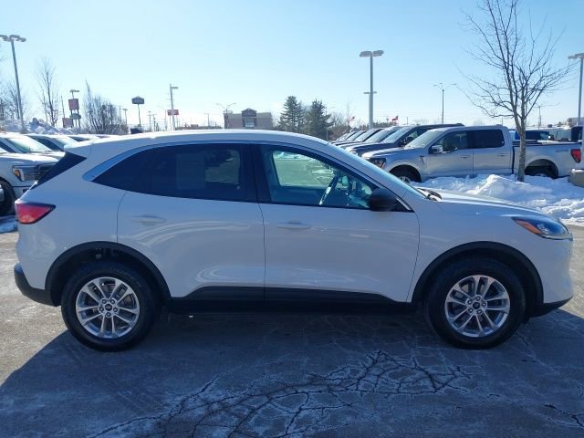 Certified 2022 Ford Escape SE image 6