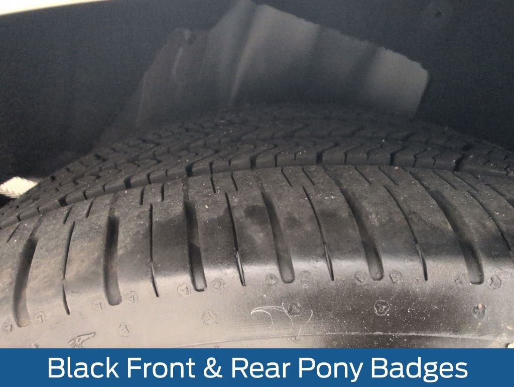 Certified 2019 Ford Mustang Coupe w/ Black Accent Package image 22