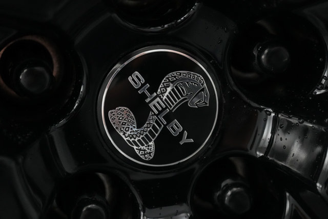Certified 2019 Ford Mustang Shelby GT350 w/ Technology Package RWD image 24