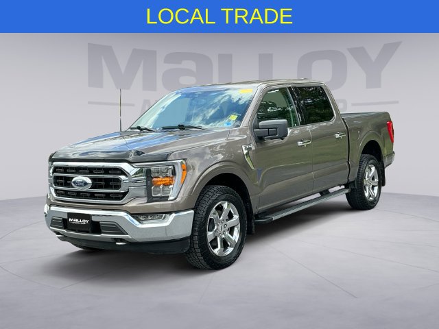 Certified 2021 Ford F150 XLT w/ Equipment Group 302A High AWD/4WD image 1