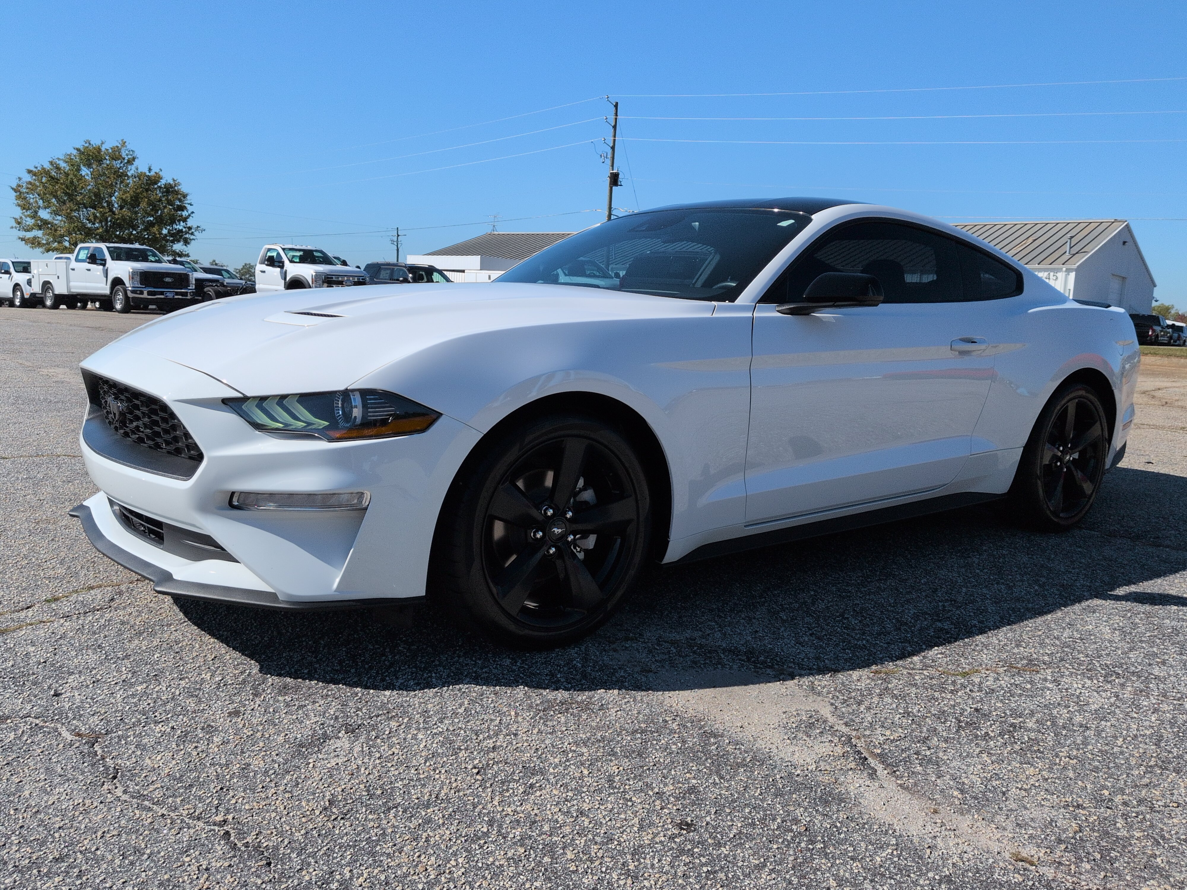 Certified 2022 Ford Mustang Coupe w/ Equipment Group 101A RWD image 6