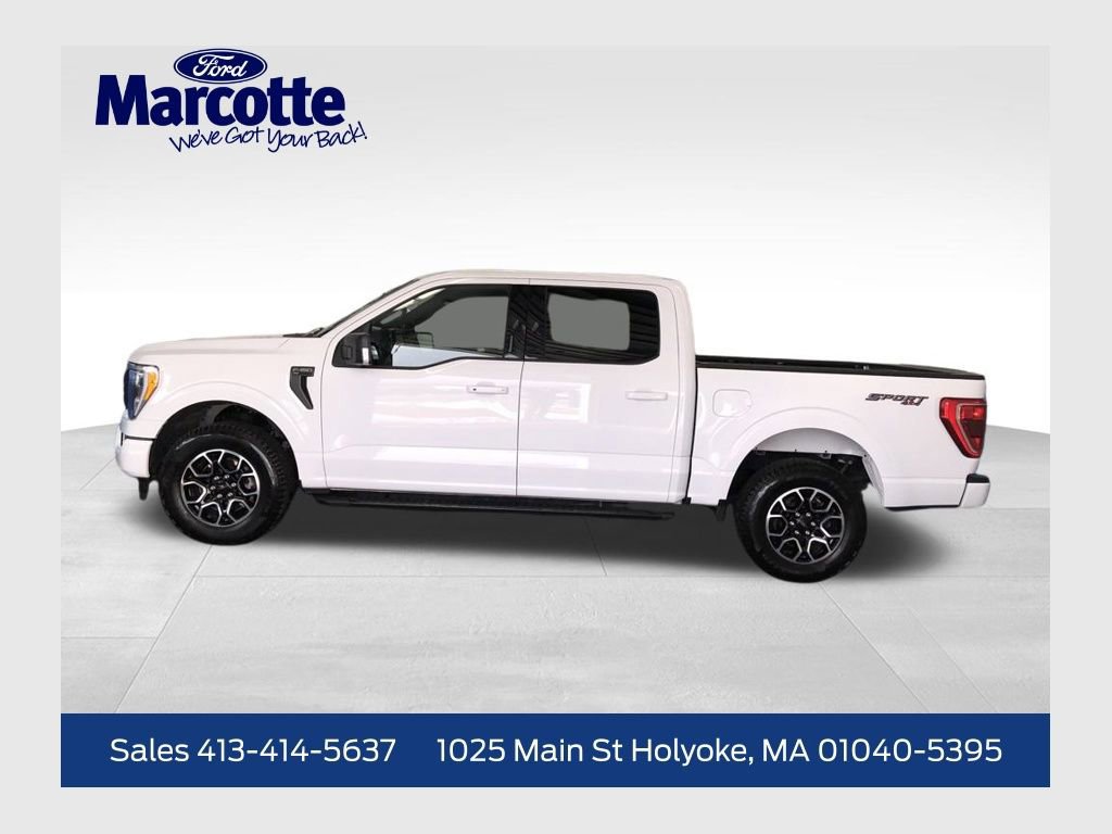 Certified 2023 Ford F150 XLT w/ Equipment Group 302A High image 2