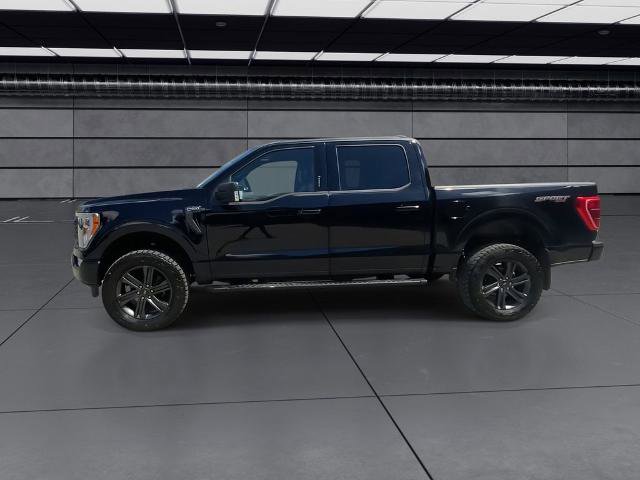 Certified 2023 Ford F150 XLT w/ Equipment Group 302A High AWD/4WD image 15