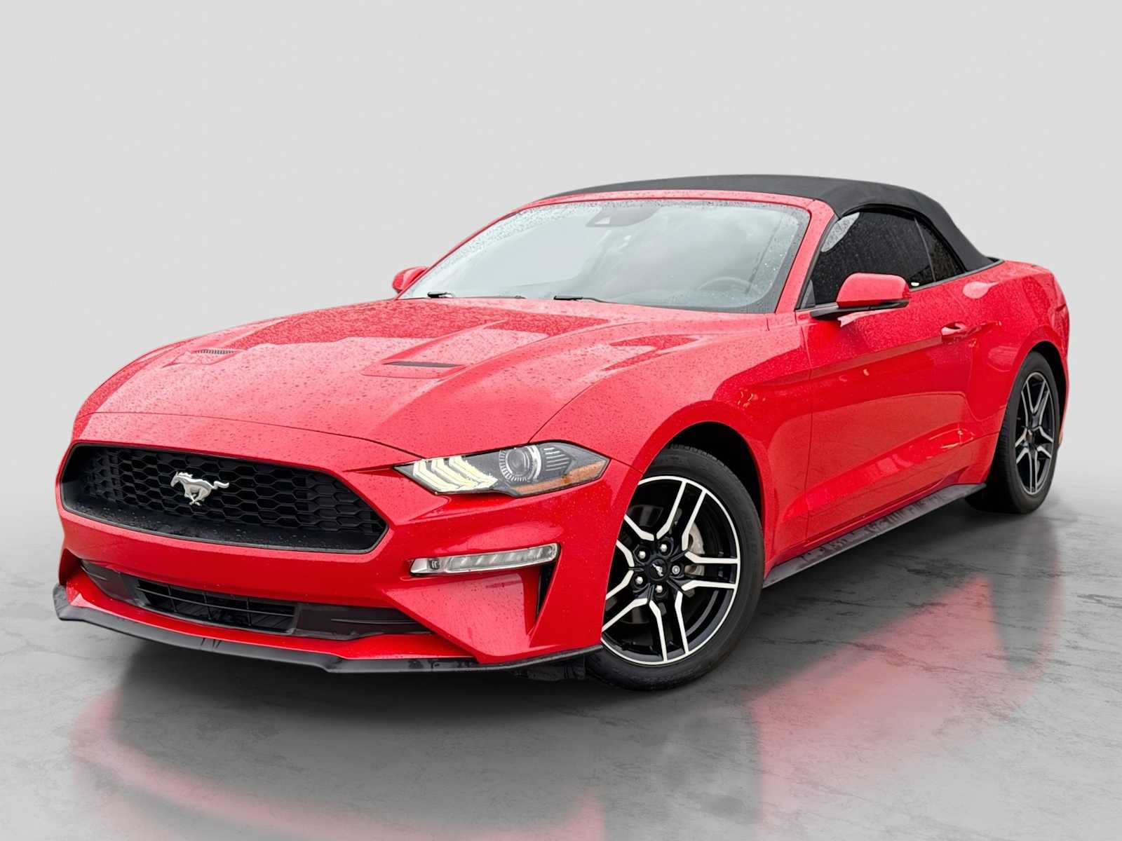 Certified 2019 Ford Mustang Premium w/ Equipment Group 201A