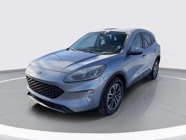 Certified 2022 Ford Escape SEL image 4