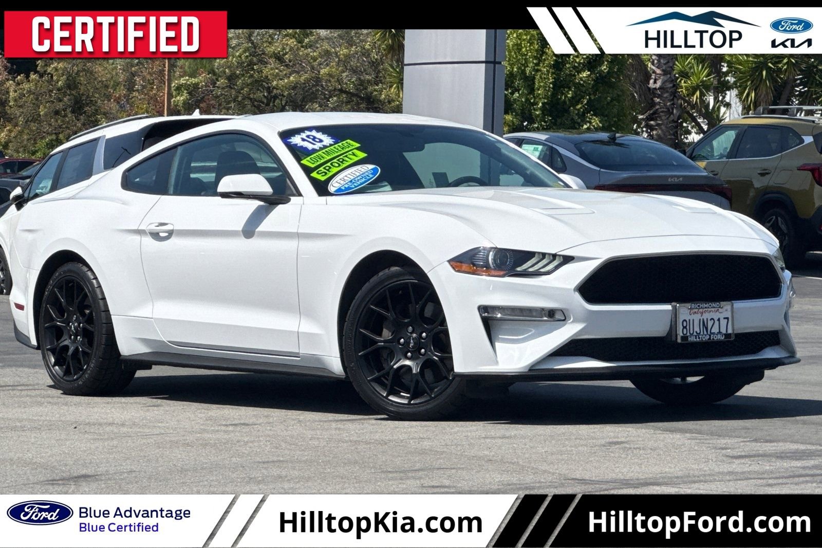 Certified 2018 Ford Mustang Premium w/ Ecoboost Performance Package RWD video 1