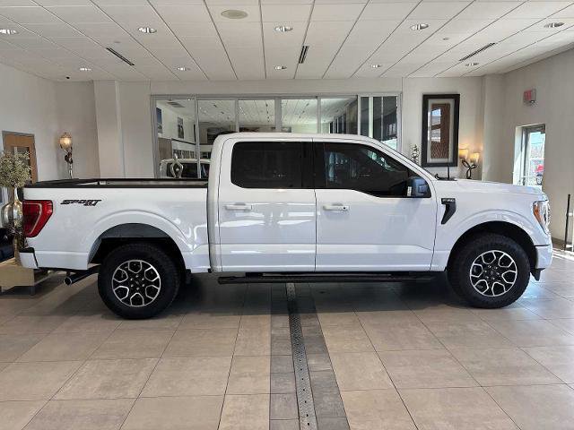 Certified 2023 Ford F150 XLT w/ Equipment Group 302A High image 6