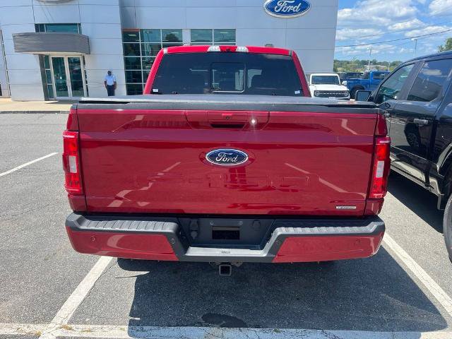 Certified 2021 Ford F150 XLT w/ Equipment Group 302A High AWD/4WD image 3