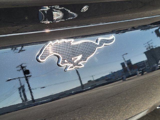 Certified 2023 Ford Mustang Mach-E Select RWD image 9