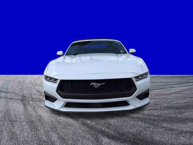 Certified 2024 Ford Mustang Premium image 9