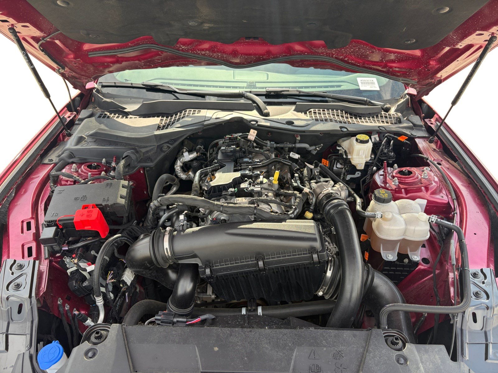 Certified 2025 Ford Mustang Coupe RWD image 24