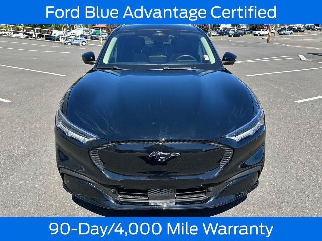 Certified 2023 Ford Mustang Mach-E California Route 1 AWD/4WD image 11