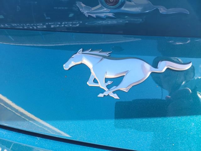 Certified 2026 Ford Mustang Coupe image 7