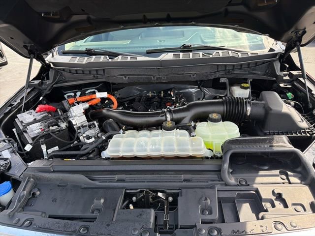 Certified 2024 Ford F150 Platinum w/ Equipment Group 703A Plus image 12